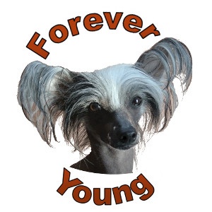 Du Domaine Forever Young